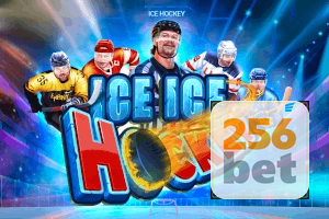256BET feedback — categorias de sugestão e melhoria no app