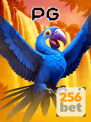256BET bônus — cashback 15 por cento e níveis VIP